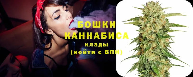 Шишки марихуана Amnesia  где найти наркотики  Чита 